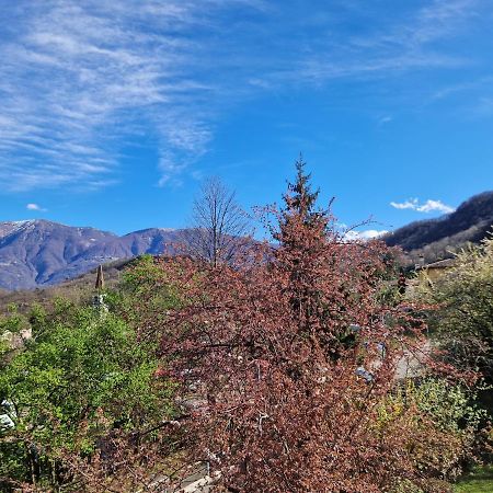 Hotel Zelindo Losone Eksteriør billede