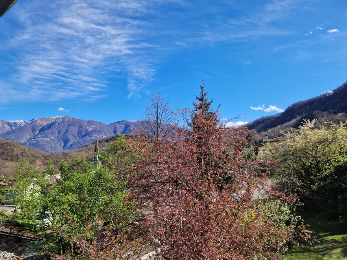 Hotel Zelindo Losone Eksteriør billede